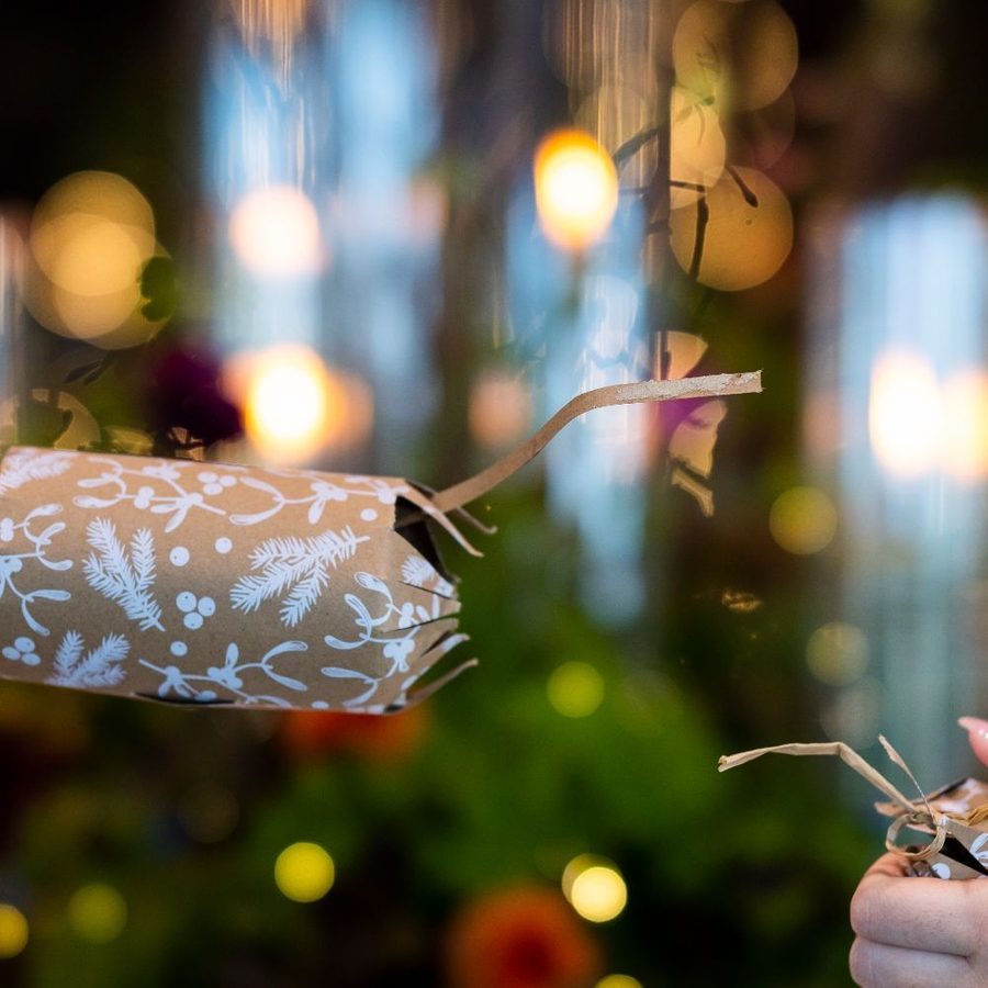 National-Theatre-Festive-cracker-Photo-Ryan-Dinham