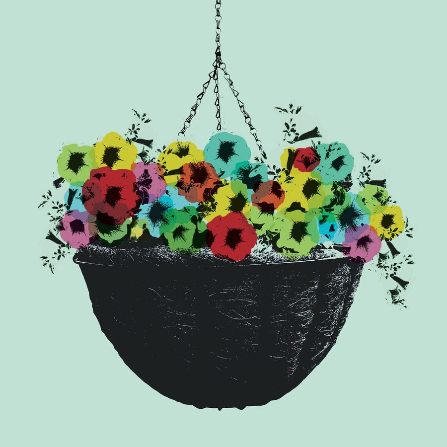 A hanging black basket filled with vibrant multicolored flowers including shades of yellow, red, blue, and green against a pale green background. The flowers are densely packed, and the basket is suspended by chains.