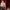 NT-Website-Top-Banner-aspect-ratio-900-900 A bald man in glasses and a paint-stained shirt stands holding a paintbrush, while a younger person in a striped shirt sits on the floor behind him. The background is splattered with red paint.