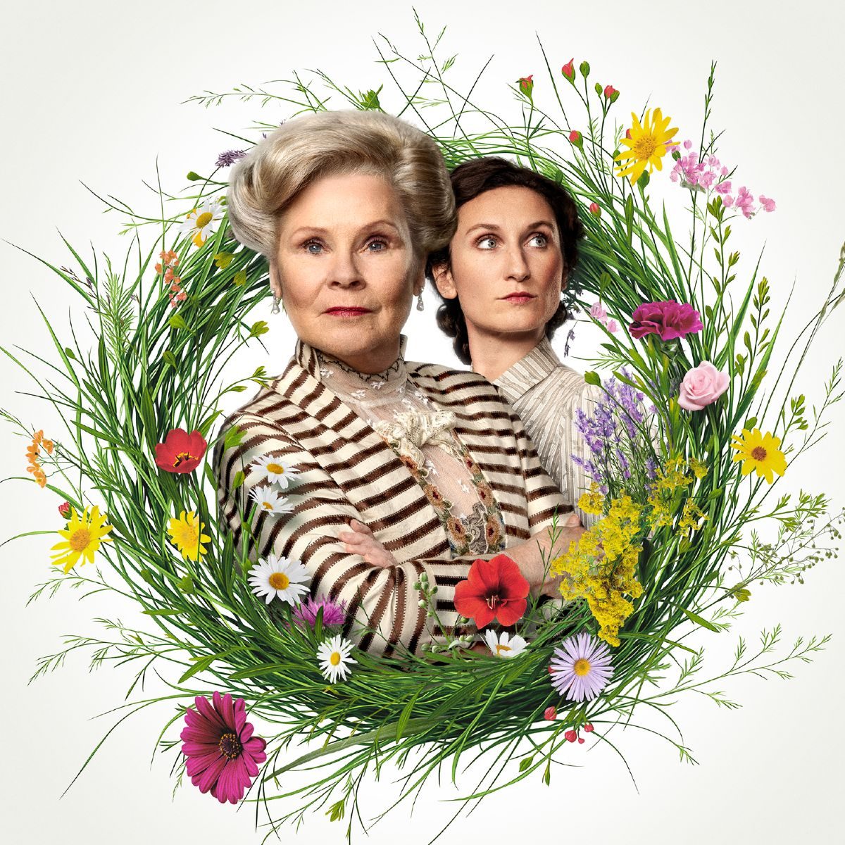 Mrs. Warren's Profession | National Theatre