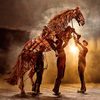War Horse
